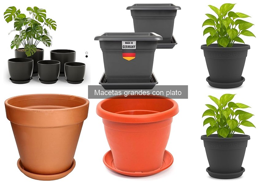 Cómo instalar y usar macetas grandes con plato
