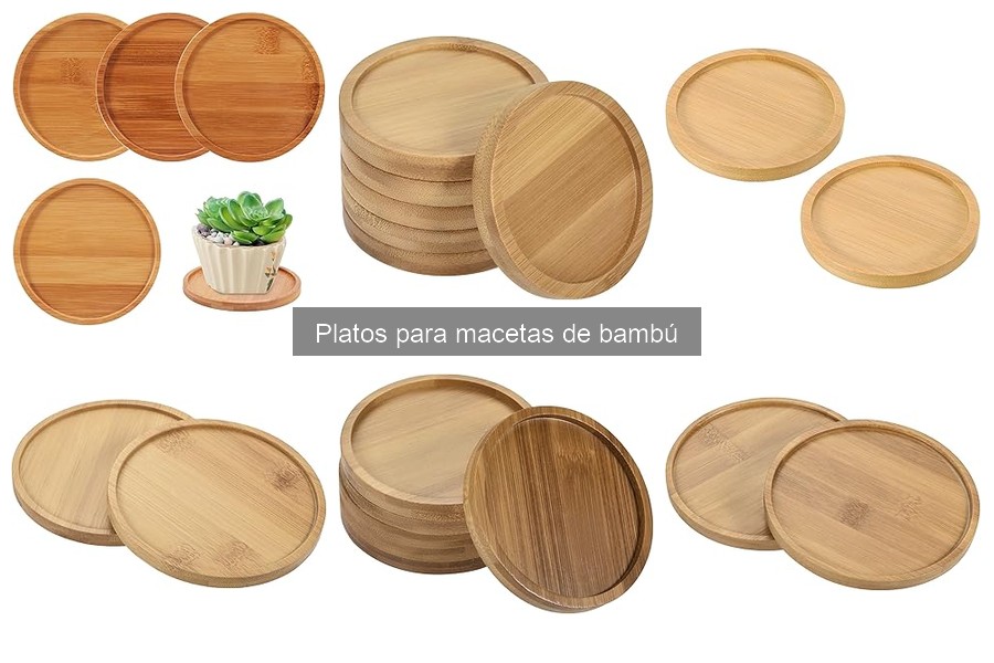 Cómo instalar y usar platos para macetas de bambú