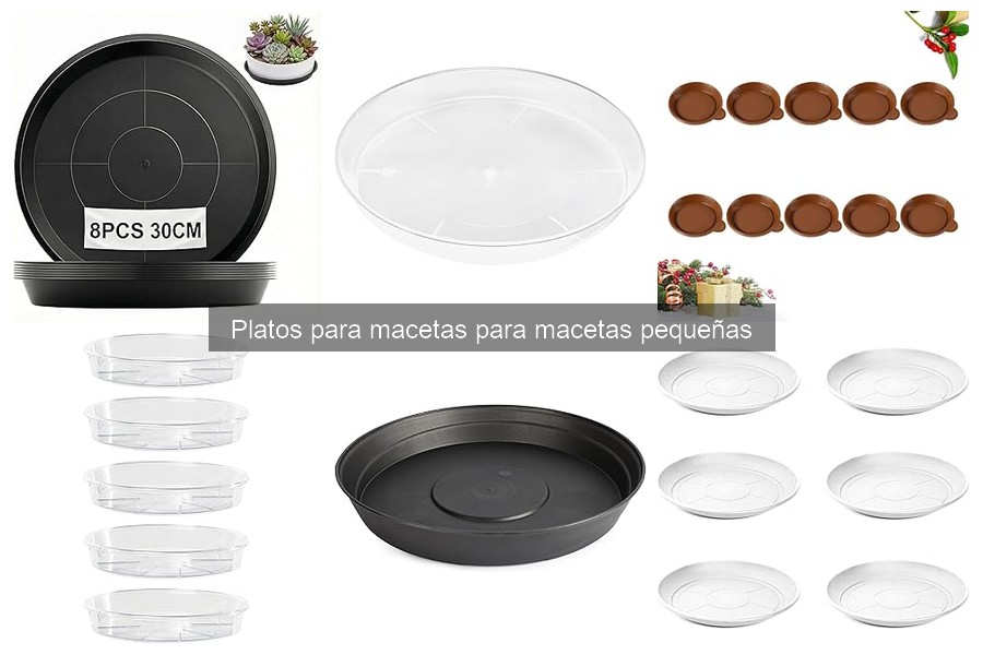 Cómo instalar y utilizar platos para macetas pequeñas