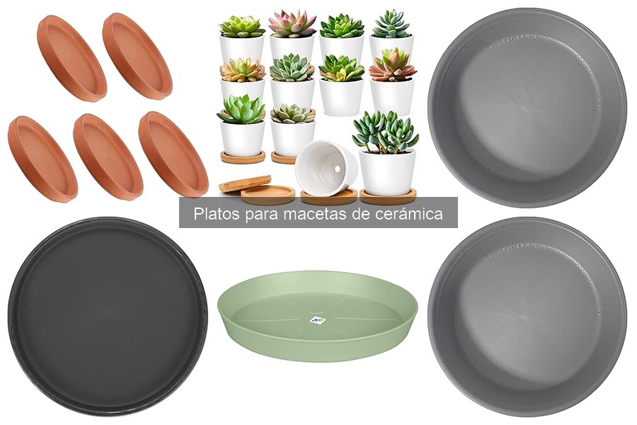Cómo limpiar platos para macetas de cerámica: Guía práctica