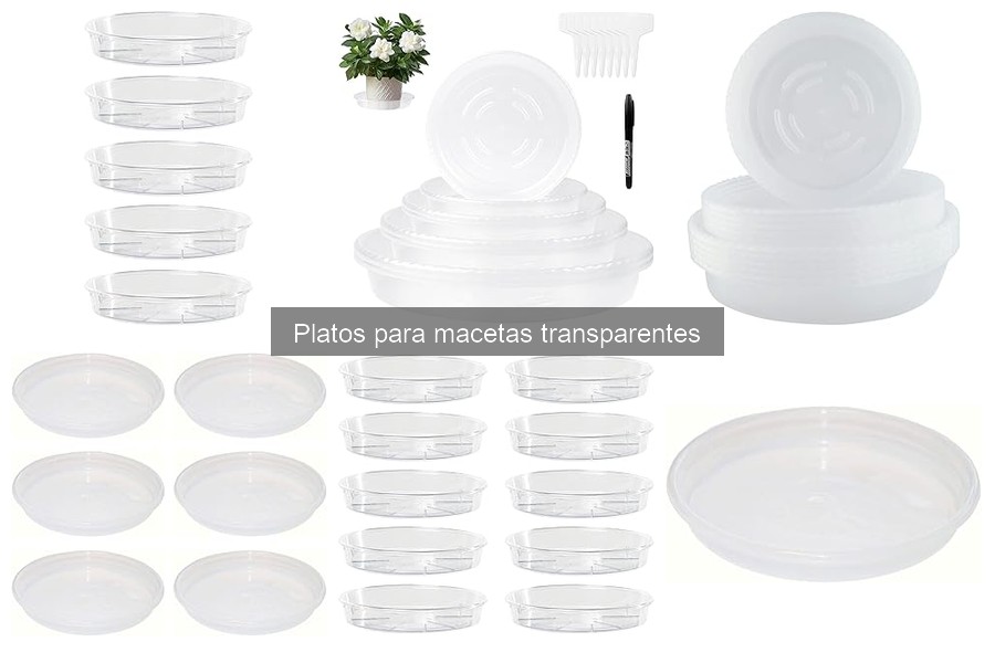 Cómo Limpiar Platos para Macetas Transparentes Eficazmente