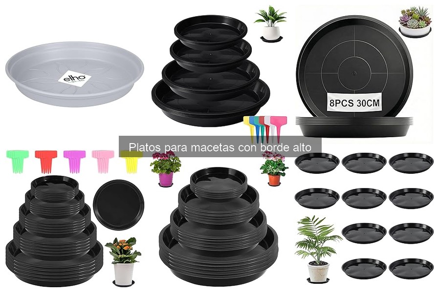 Cómo Limpiar y Mantener Platos para Macetas con Borde Alto