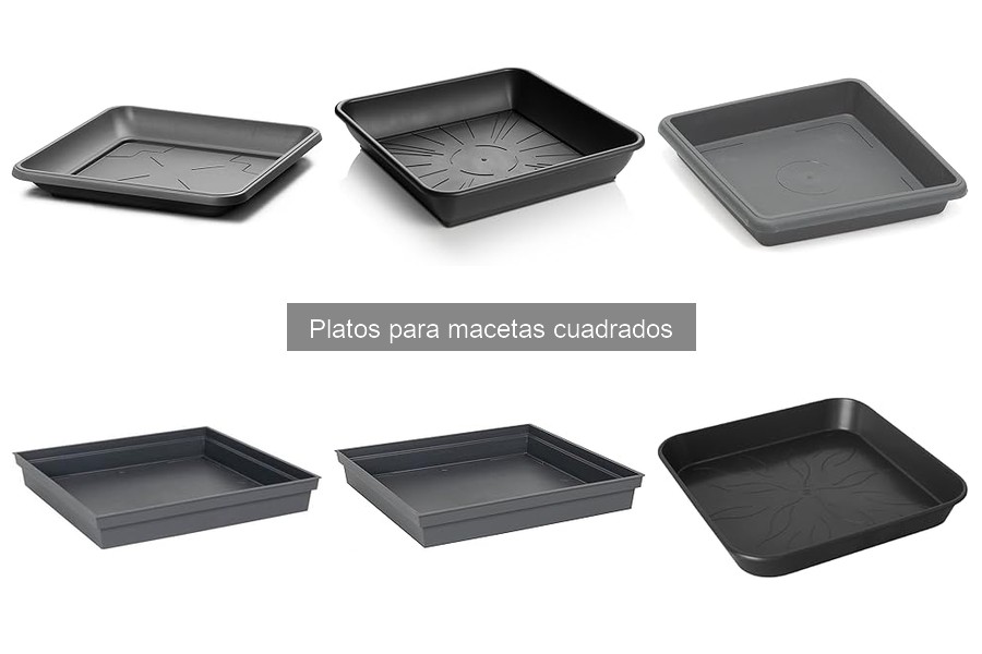 Cómo limpiar y mantener platos para macetas cuadrados