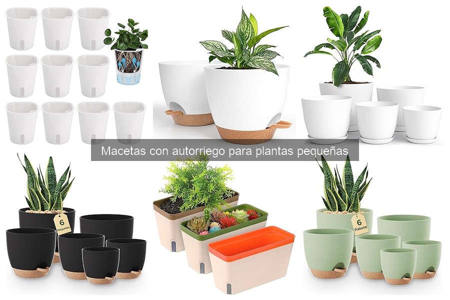 Cómo mantener adecuadamente una maceta con autorriego