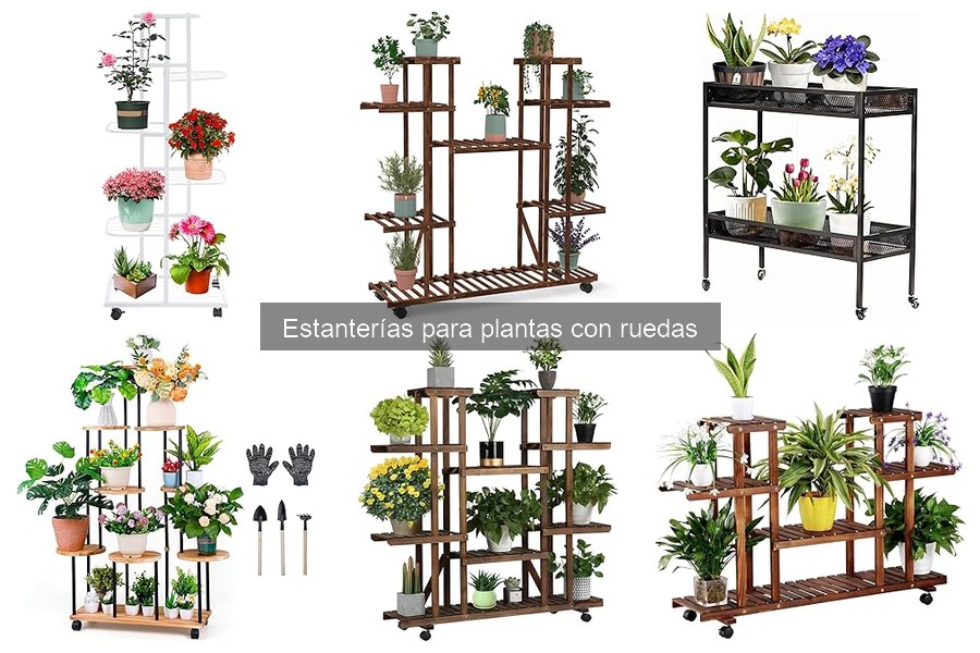 Cómo mantener estanterías para plantas con ruedas fácilmente