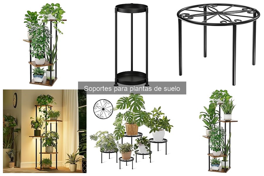 Cómo mantener los soportes para plantas de suelo en buen estado