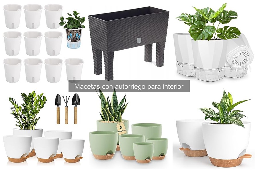 Cómo mantener macetas con autorriego para interior