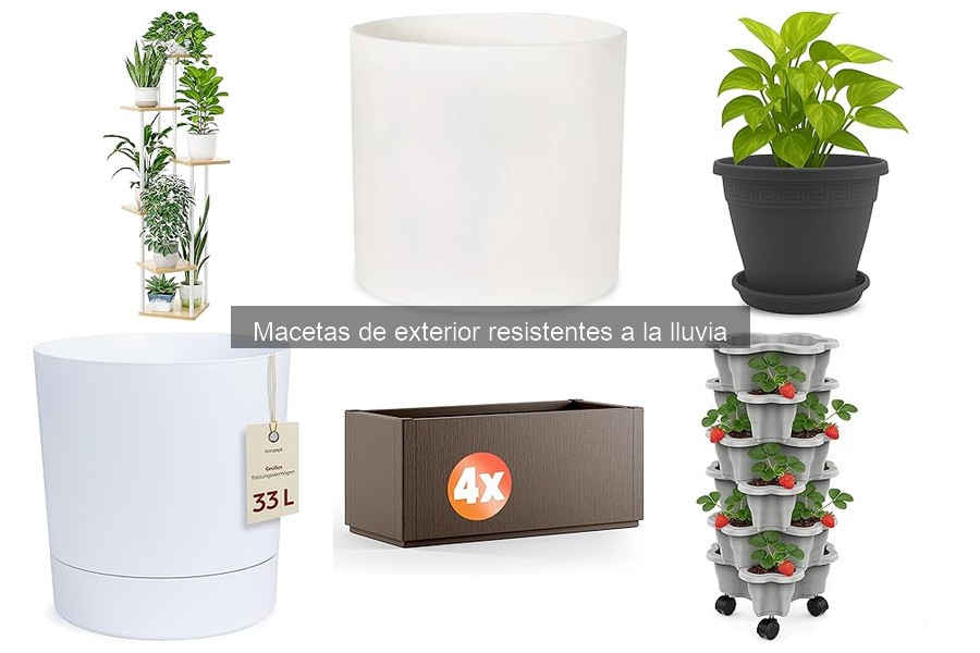 Cómo mantener macetas de exterior en climas lluviosos