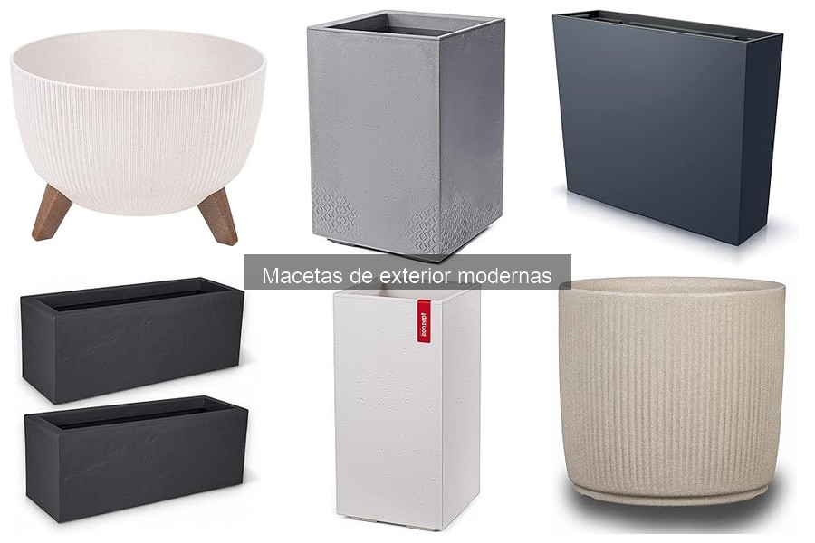 Cómo mantener macetas de exterior modernas en perfecto estado