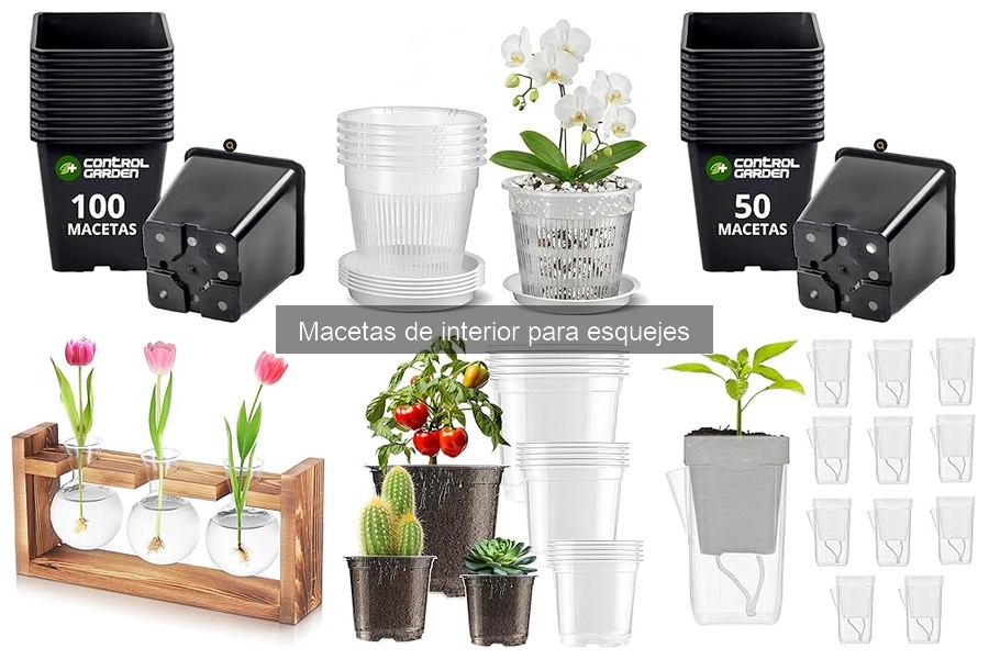 Cómo mantener macetas de interior para esquejes con éxito