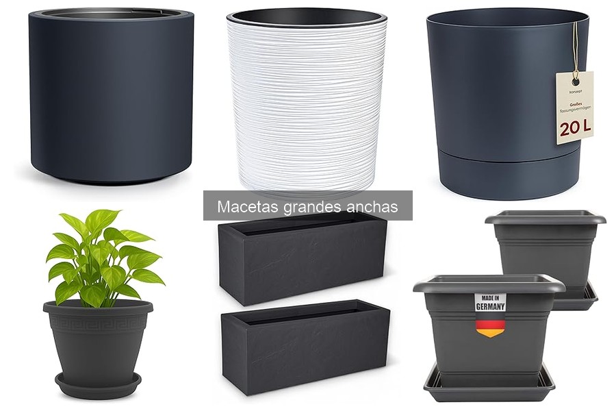 Cómo mantener macetas grandes anchas en perfectas condiciones