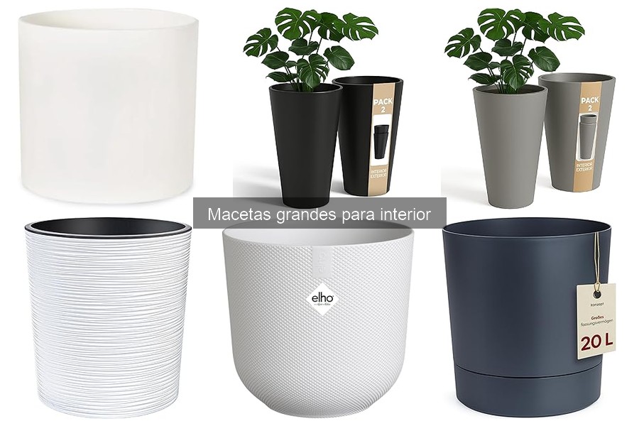 Cómo mantener macetas grandes en interiores: Guía práctica