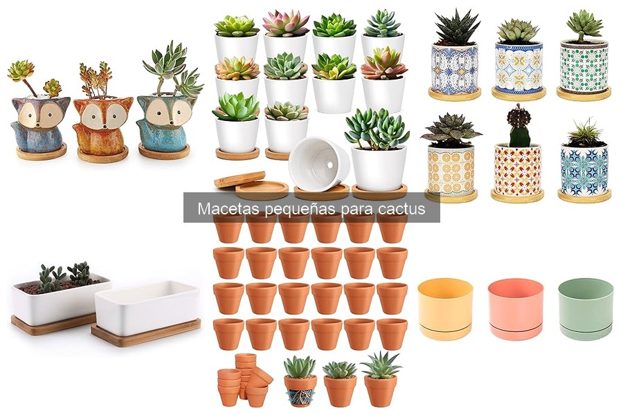 Cómo mantener macetas pequeñas para cactus fácilmente