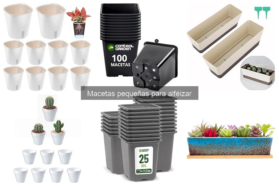 Cómo mantener plantas en macetas pequeñas en el alféizar
