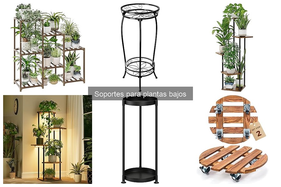 Cómo mantener soportes para plantas bajos en perfectas condiciones