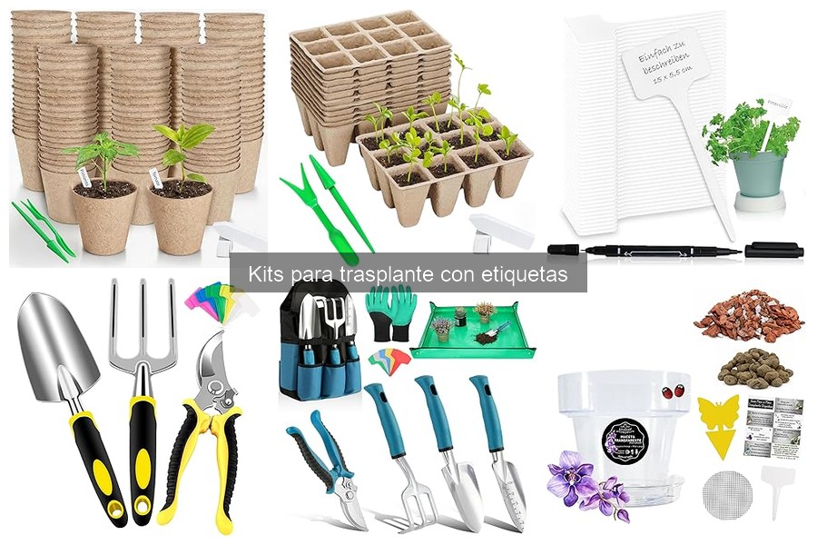Cómo mantener un kit para trasplante con etiquetas en buen estado