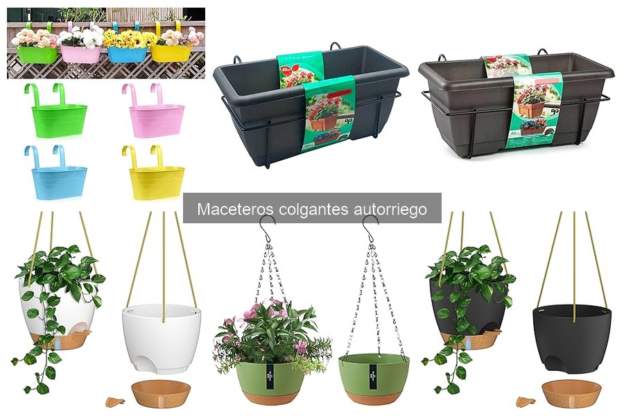 Cómo mantener un macetero colgante autorriego fácilmente