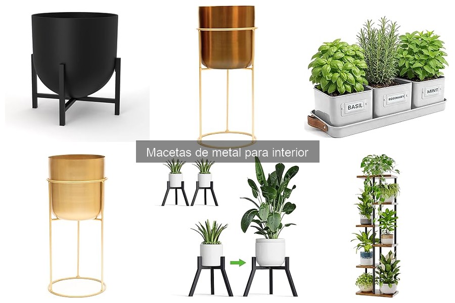 Cómo mantener y cuidar tus macetas de metal para interior