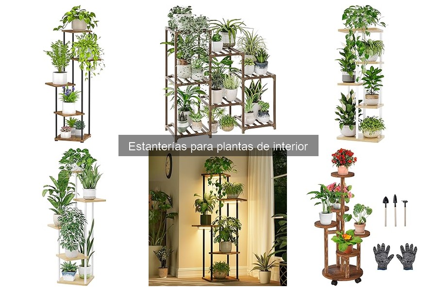 Cómo Montar una Estantería para Plantas de Interior