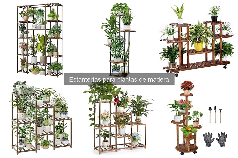 Cómo Montar una Estantería para Plantas de Madera