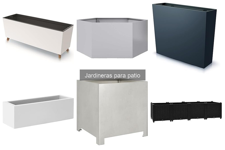 Cómo plantar en jardineras para patio: Guía práctica