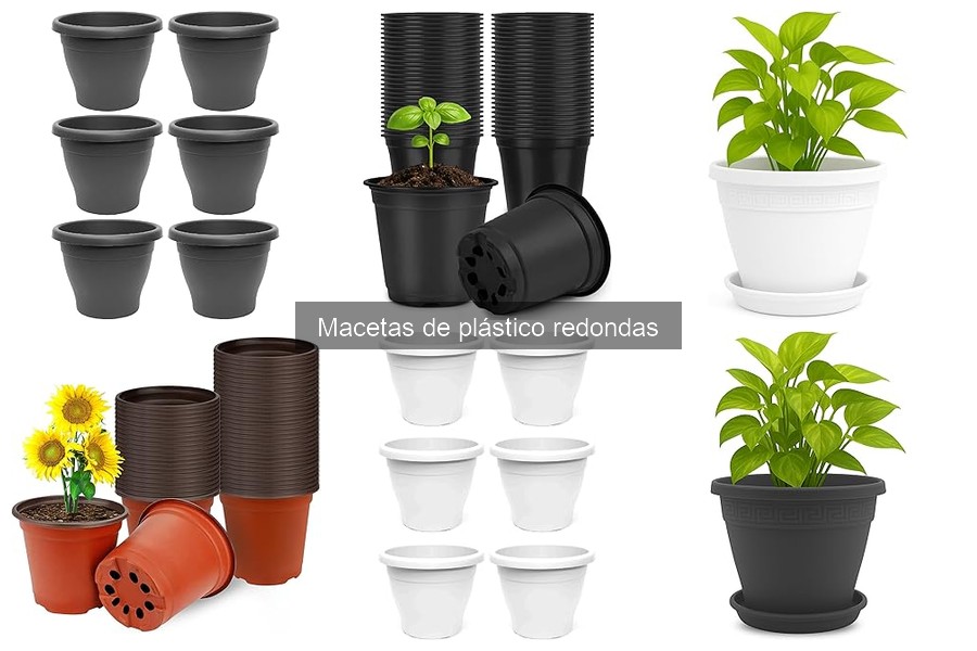 Cómo Plantar en una Maceta de Plástico Redonda