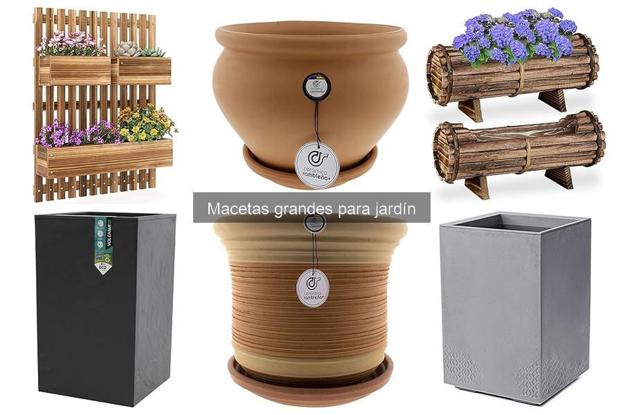 Cómo plantar en una maceta grande: guía paso a paso