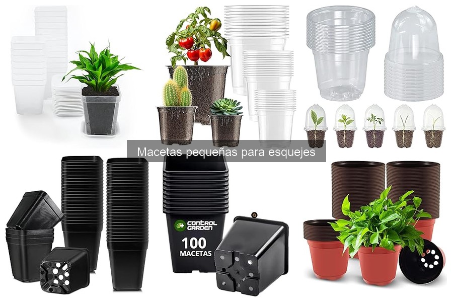 Cómo plantar esquejes en macetas pequeñas: guía práctica