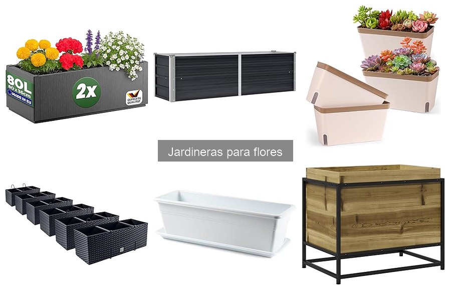 Cómo plantar flores en jardineras: guía paso a paso