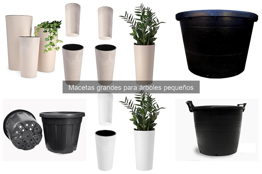 Cómo plantar un árbol pequeño en una maceta grande