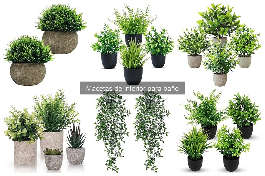 Cómo prevenir el moho en macetas de interior para baño
