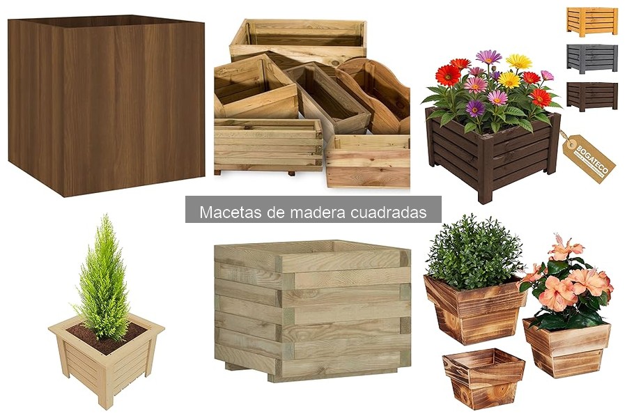 Cómo prevenir plagas en macetas de madera cuadradas