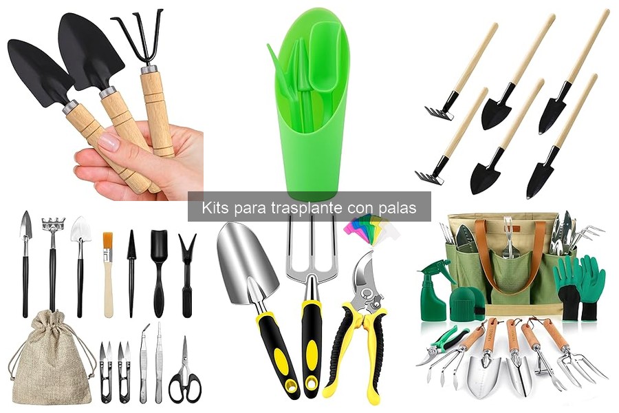 Cómo reciclar un kit de trasplante de manera creativa