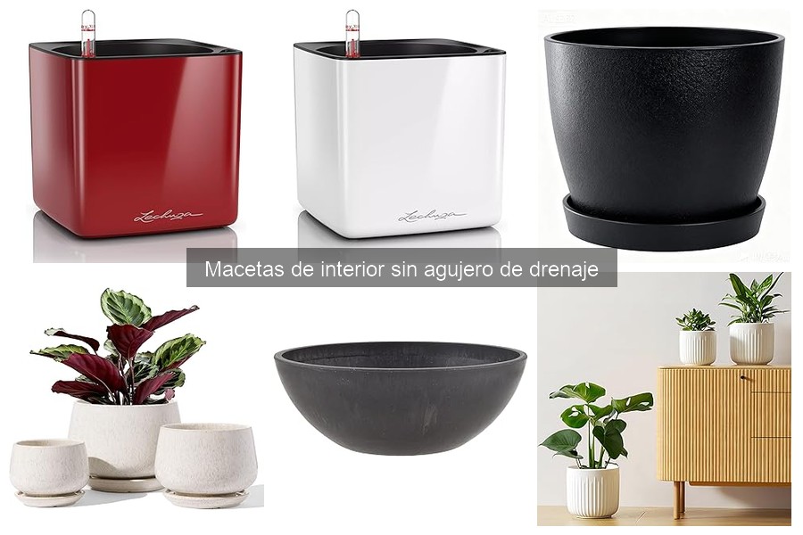 Cómo Regar Plantas en Macetas Sin Agujero de Drenaje
