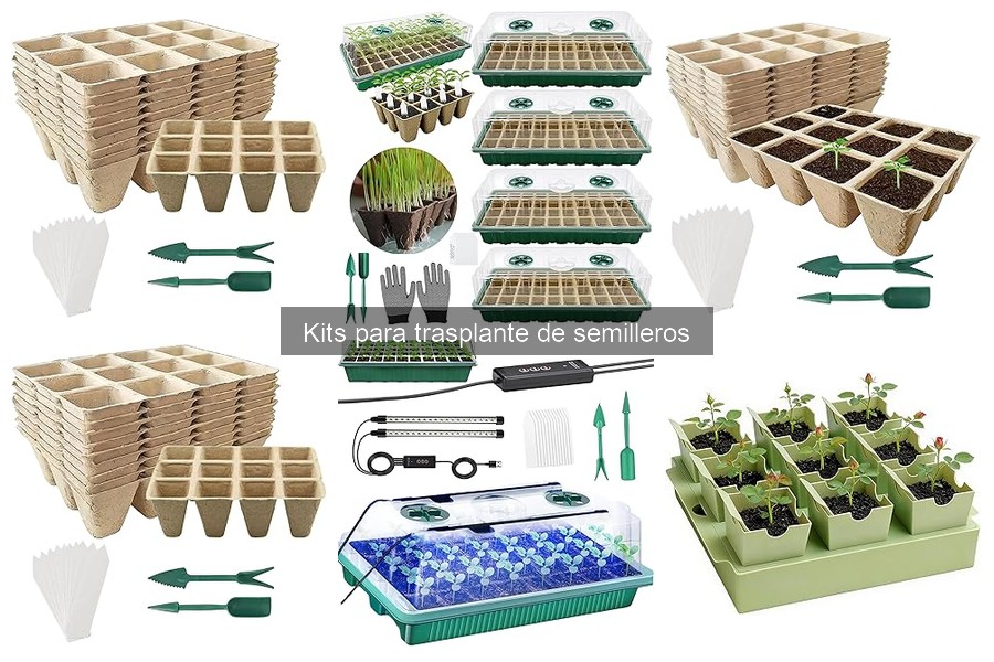 Cómo usar herramientas en kits de trasplante de semilleros