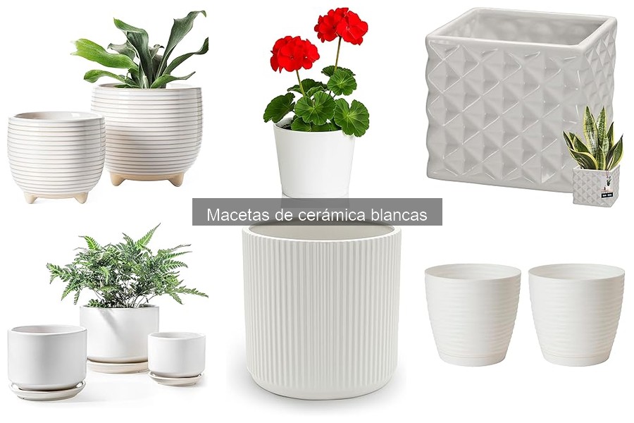 ** Cómo usar macetas de cerámica blancas en tu decoración