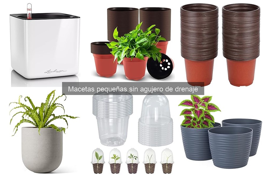 Cómo usar macetas pequeñas sin agujero de drenaje correctamente