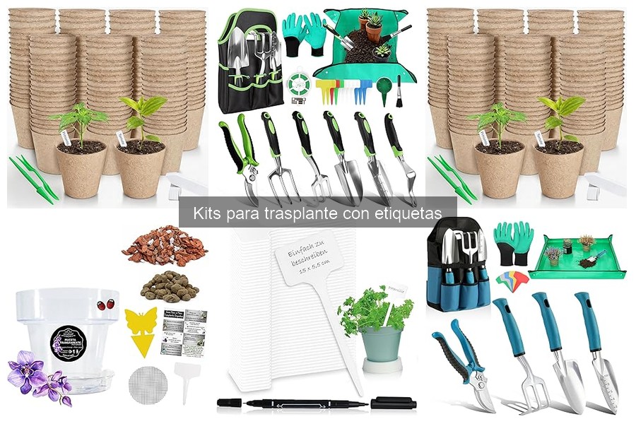 Cómo usar un kit de trasplante con etiquetas correctamente