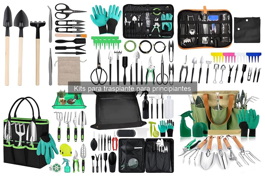 Cómo usar un kit de trasplante correctamente: guía para principiantes