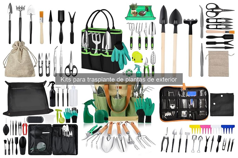Cómo usar un kit de trasplante de plantas: guía práctica