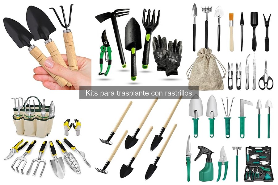 Cómo usar un kit para trasplante correctamente: guía práctica