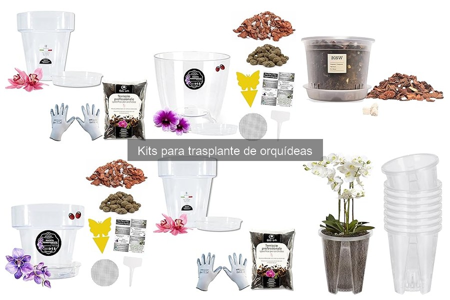 Cómo usar un kit para trasplante de orquídeas correctamente