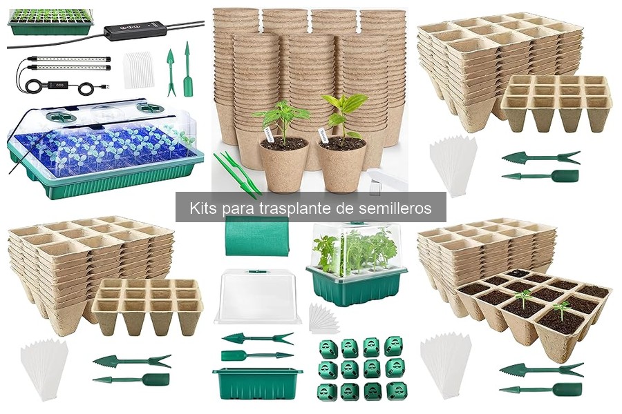 Cómo usar un kit para trasplante de semilleros fácilmente