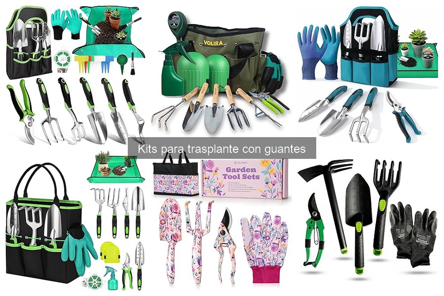 Cómo utilizar un kit para trasplante correctamente en jardinería