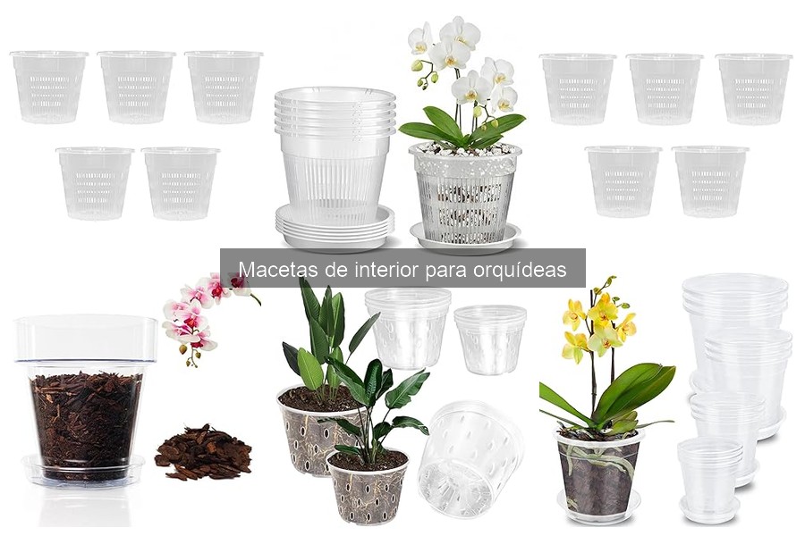 Comparativa: Barro, plástico y fibra para macetas de orquídeas