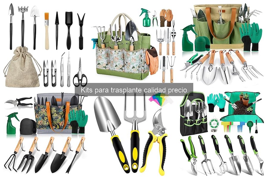 Comparativa de Kits para Trasplante: Calidad y Precio