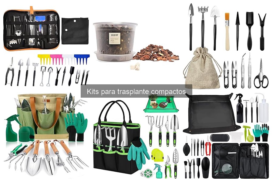 Comparativa de Kits para Trasplante Compactos: ¡Elige el Mejor!