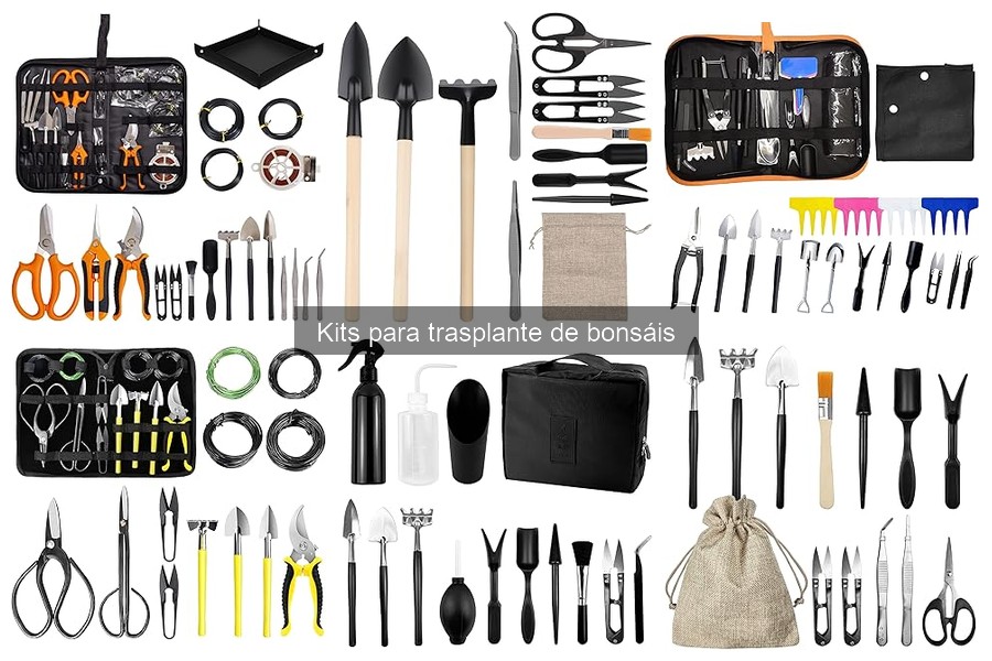 Comparativa de Kits para Trasplante de Bonsáis: Mejores Opciones