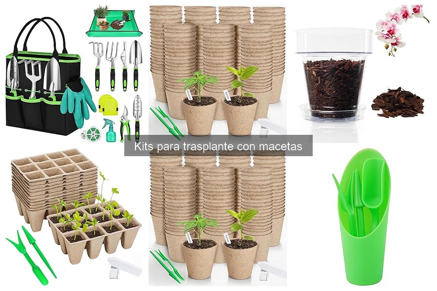 Comparativa de Kits para Trasplante: Mejores Marcas y Precios
