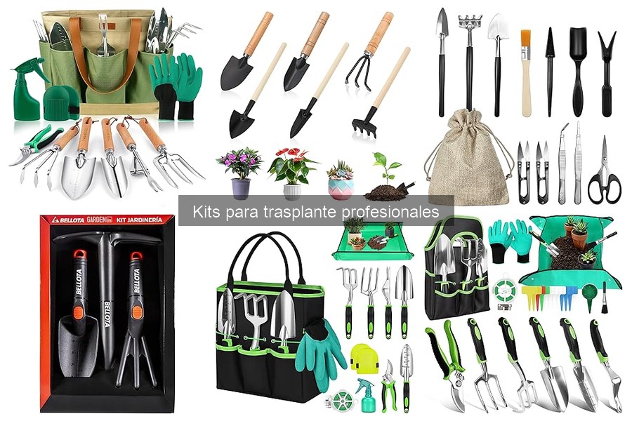 Comparativa de Kits Profesionales vs Kits Básicos para Trasplante